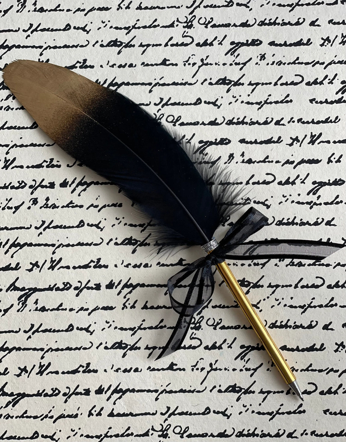 The Scribe's Quill