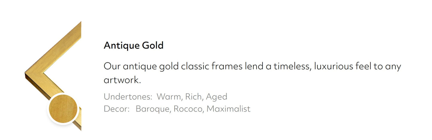 Antique gold frame finish and style details