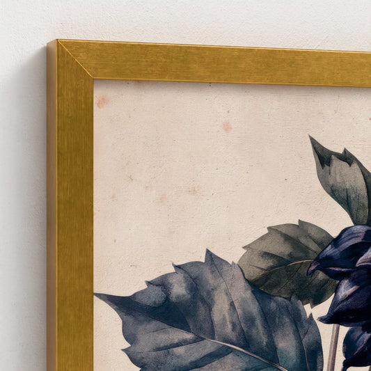The Black Dahlia Study