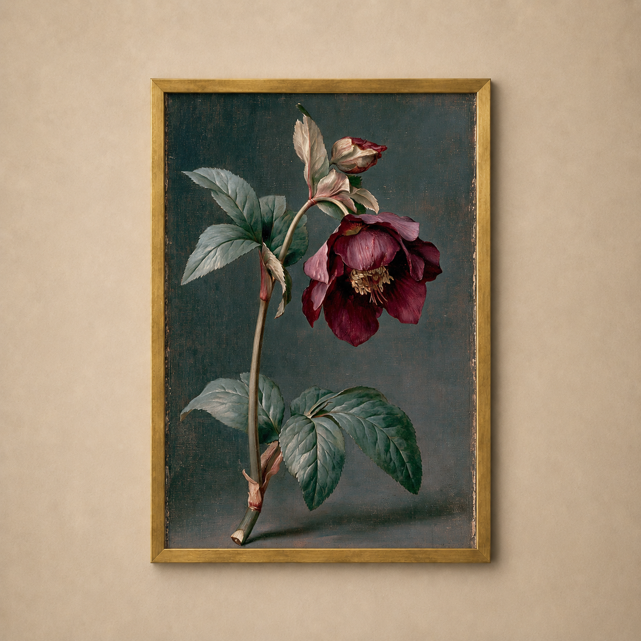 The Single Hellebore Study — archival botanical fine art print, The Midnight Archive
